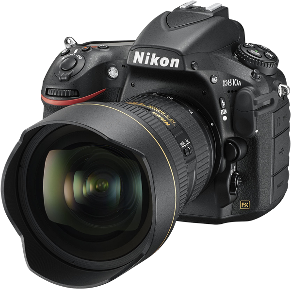 D810A