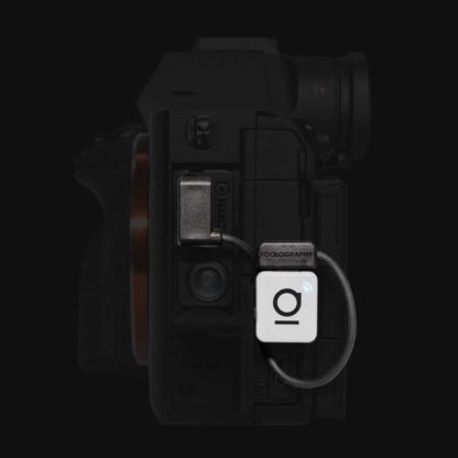 Entagged on Sony 7Rm5